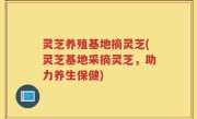 灵芝养殖基地摘灵芝(灵芝基地采摘灵芝，助力养生保健)