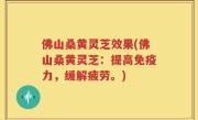 佛山桑黄灵芝效果(佛山桑黄灵芝：提高免疫力，缓解疲劳。)