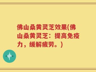 佛山桑黄灵芝效果(佛山桑黄灵芝：提高免疫力，缓解疲劳。)