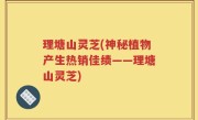 理塘山灵芝(神秘植物产生热销佳绩——理塘山灵芝)