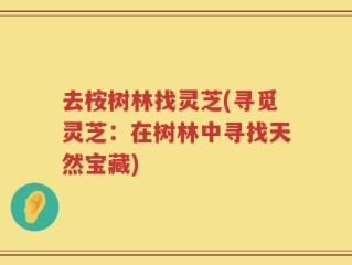 去桉树林找灵芝(寻觅灵芝：在树林中寻找天然宝藏)