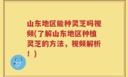 山东地区能种灵芝吗视频(了解山东地区种植灵芝的方法，视频解析！)