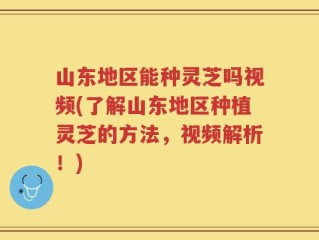 山东地区能种灵芝吗视频(了解山东地区种植灵芝的方法，视频解析！)