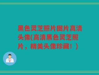 黑色灵芝照片图片高清头像(高清黑色灵芝照片，精美头像珍藏！)