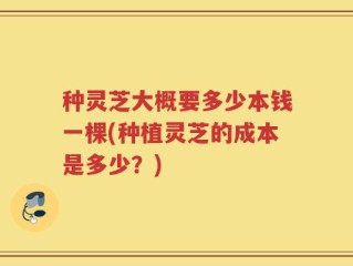 种灵芝大概要多少本钱一棵(种植灵芝的成本是多少？)