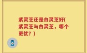 紫灵芝还是白灵芝好(紫灵芝与白灵芝，哪个更优？)