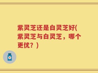 紫灵芝还是白灵芝好(紫灵芝与白灵芝，哪个更优？)