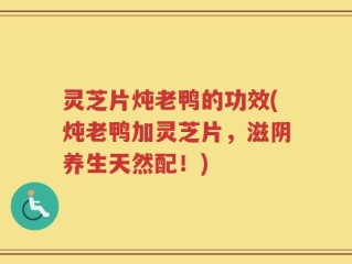 灵芝片炖老鸭的功效(炖老鸭加灵芝片，滋阴养生天然配！)