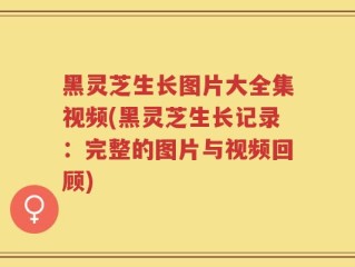 黑灵芝生长图片大全集视频(黑灵芝生长记录：完整的图片与视频回顾)