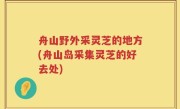 舟山野外采灵芝的地方(舟山岛采集灵芝的好去处)