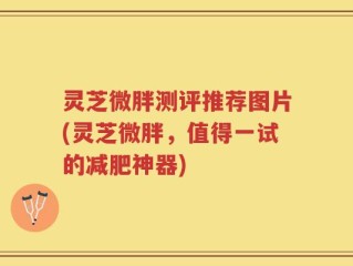 灵芝微胖测评推荐图片(灵芝微胖，值得一试的减肥神器)
