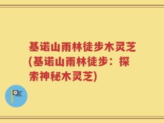 基诺山雨林徒步木灵芝(基诺山雨林徒步：探索神秘木灵芝)