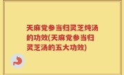天麻党参当归灵芝炖汤的功效(天麻党参当归灵芝汤的五大功效)
