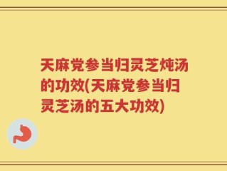 天麻党参当归灵芝炖汤的功效(天麻党参当归灵芝汤的五大功效)