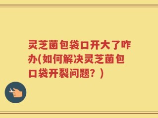 灵芝菌包袋口开大了咋办(如何解决灵芝菌包口袋开裂问题？)