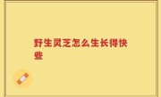 野生灵芝怎么生长得快些