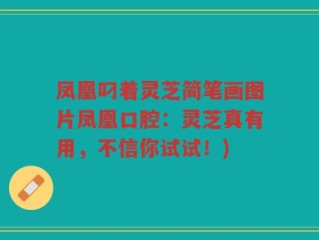 凤凰叼着灵芝简笔画图片凤凰口腔：灵芝真有用，不信你试试！)