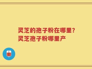 灵芝的孢子粉在哪里？灵芝孢子粉哪里产