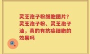 灵芝孢子粉细胞图片？灵芝孢子粉、灵芝孢子油，真的有抗癌细胞的效果吗