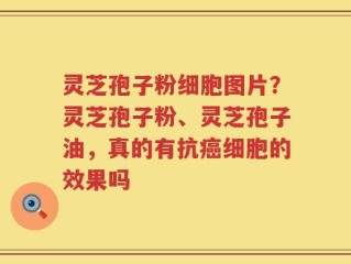 灵芝孢子粉细胞图片？灵芝孢子粉、灵芝孢子油，真的有抗癌细胞的效果吗