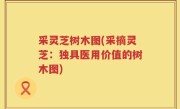 采灵芝树木图(采摘灵芝：独具医用价值的树木图)