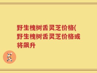 野生槐树舌灵芝价格(野生槐树舌灵芝价格或将飙升