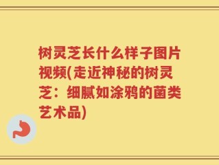 树灵芝长什么样子图片视频(走近神秘的树灵芝：细腻如涂鸦的菌类艺术品)