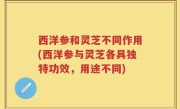 西洋参和灵芝不同作用(西洋参与灵芝各具独特功效，用途不同)