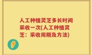 人工种植灵芝多长时间采收一次(人工种植灵芝：采收周期及方法)