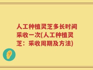 人工种植灵芝多长时间采收一次(人工种植灵芝：采收周期及方法)