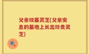 父亲坟墓灵芝(父亲安息的墓地上长出珍贵灵芝)