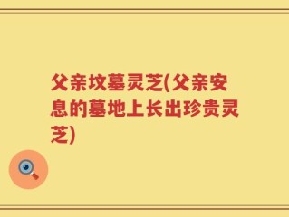 父亲坟墓灵芝(父亲安息的墓地上长出珍贵灵芝)