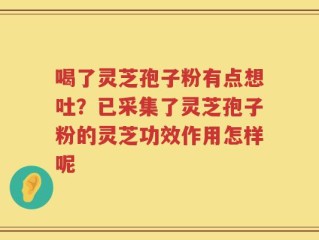 喝了灵芝孢子粉有点想吐？已采集了灵芝孢子粉的灵芝功效作用怎样呢