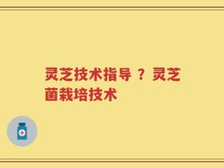 灵芝技术指导 ？灵芝菌栽培技术