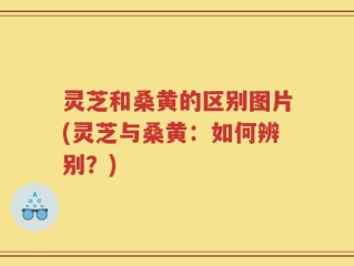 灵芝和桑黄的区别图片(灵芝与桑黄：如何辨别？)