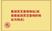 里湖灵芝基地地址(湖南娄底湖灵芝基地的地址与特点)