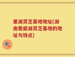 里湖灵芝基地地址(湖南娄底湖灵芝基地的地址与特点)