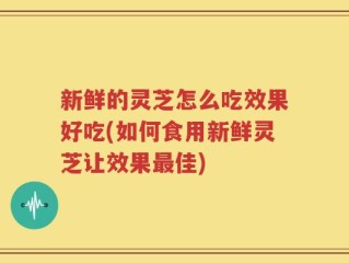 新鲜的灵芝怎么吃效果好吃(如何食用新鲜灵芝让效果最佳)