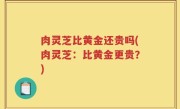 肉灵芝比黄金还贵吗(肉灵芝：比黄金更贵？)