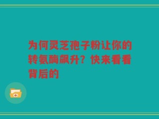 为何灵芝孢子粉让你的转氨酶飙升？快来看看背后的
