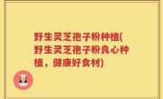 野生灵芝孢子粉种植(野生灵芝孢子粉良心种植，健康好食材)