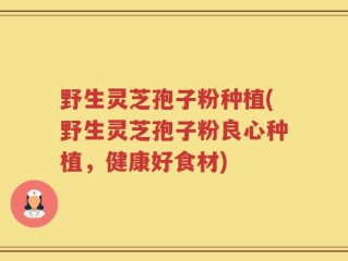 野生灵芝孢子粉种植(野生灵芝孢子粉良心种植，健康好食材)