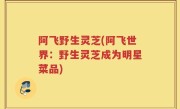 阿飞野生灵芝(阿飞世界：野生灵芝成为明星菜品)