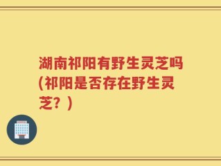 湖南祁阳有野生灵芝吗(祁阳是否存在野生灵芝？)