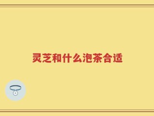 灵芝和什么泡茶合适
