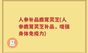 人参补品鹿茸灵芝(人参鹿茸灵芝补品，增强身体免疫力)