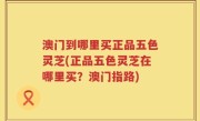 澳门到哪里买正品五色灵芝(正品五色灵芝在哪里买？澳门指路)