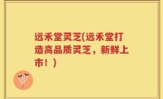 远禾堂灵芝(远禾堂打造高品质灵芝，新鲜上市！)