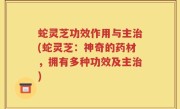 蛇灵芝功效作用与主治(蛇灵芝：神奇的药材，拥有多种功效及主治)