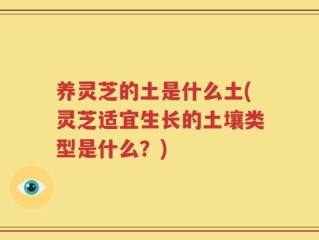 养灵芝的土是什么土(灵芝适宜生长的土壤类型是什么？)